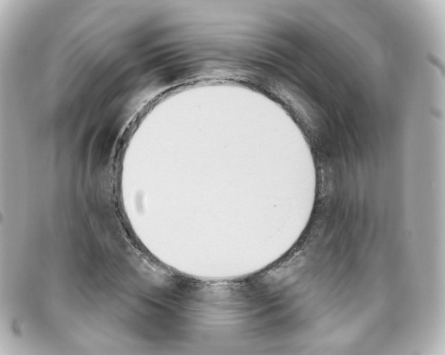 X0000096410828200801241023