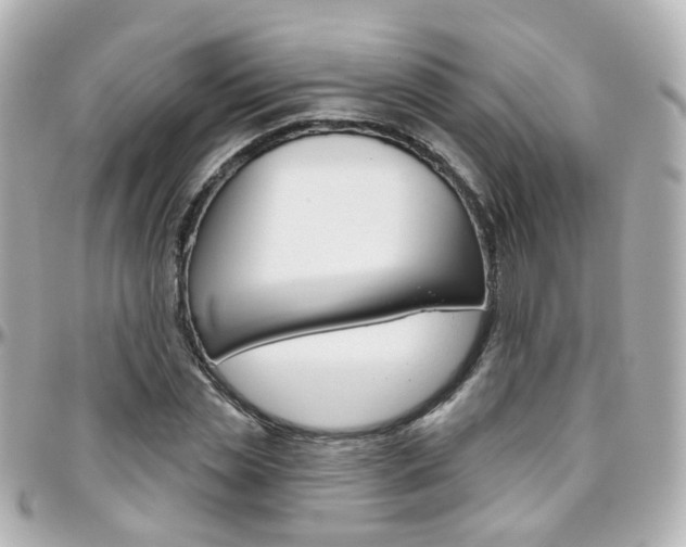 X0000096410829200801241023