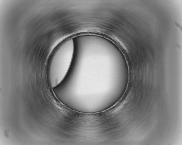 X0000096410830200801241023
