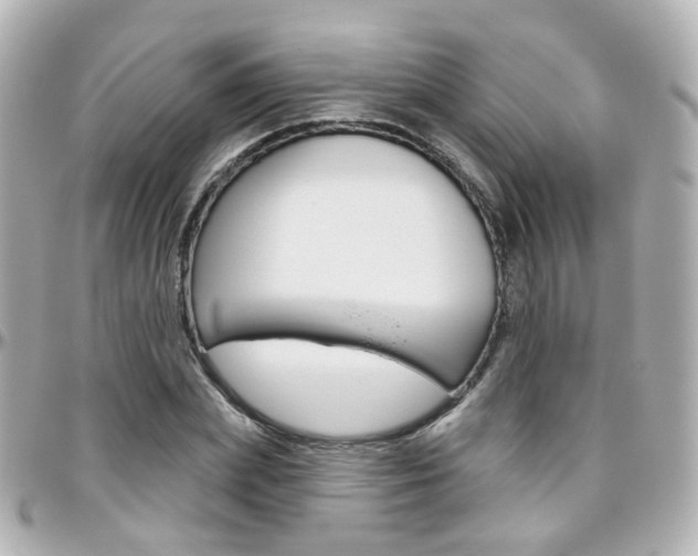 X0000096410831200801241023
