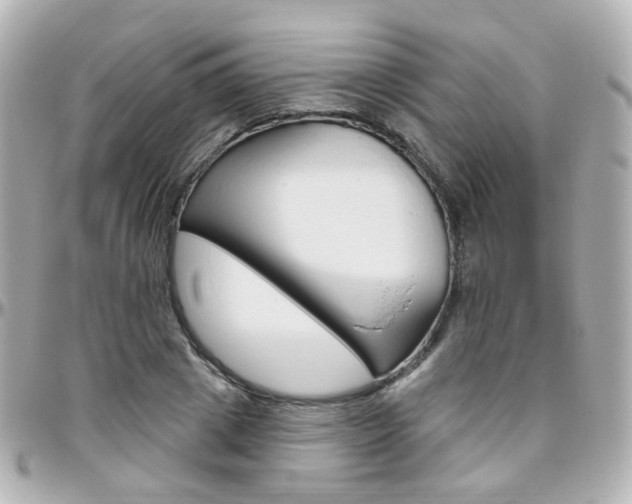 X0000096410833200801241023