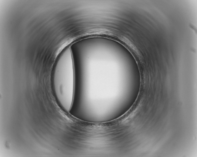 X0000096410834200801241023