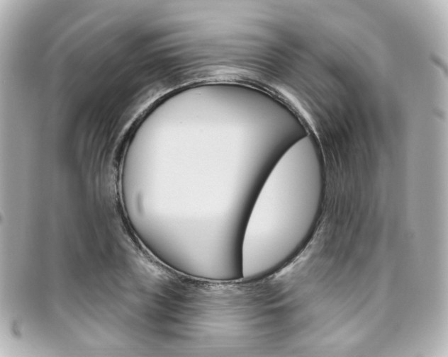 X0000096410835200801241023
