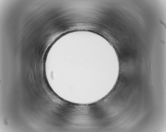 X0000096410836200801241023