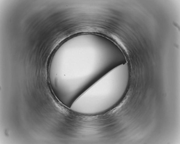 X0000096410837200801241023