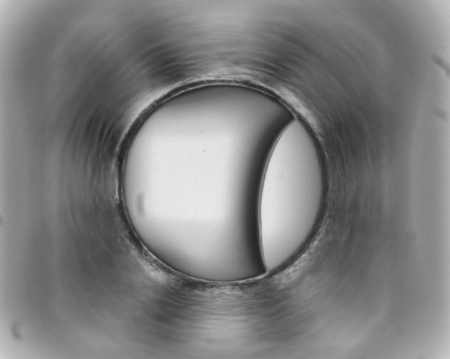 X0000096410838200801241023