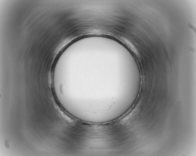 X0000096410839200801241023