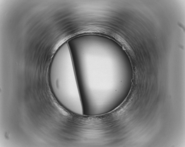 X0000096410842200801241023