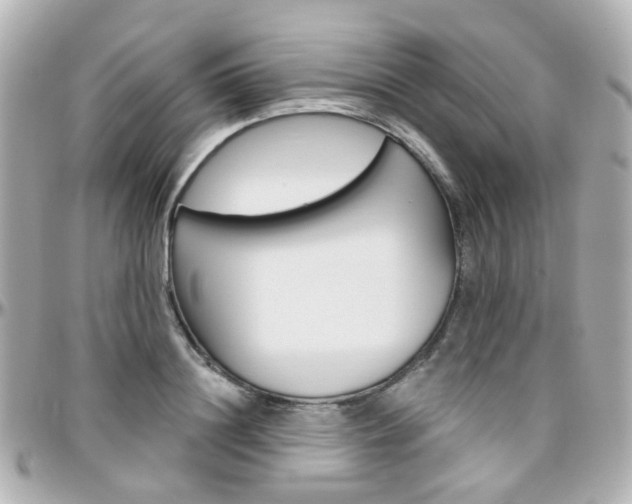 X0000096410844200801241023