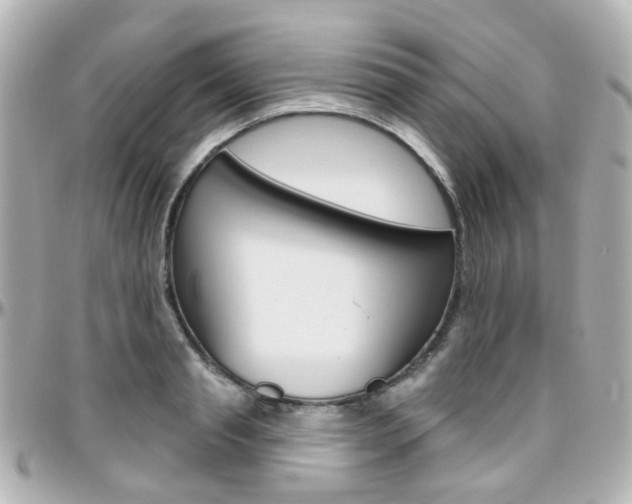 X0000096410845200801241023