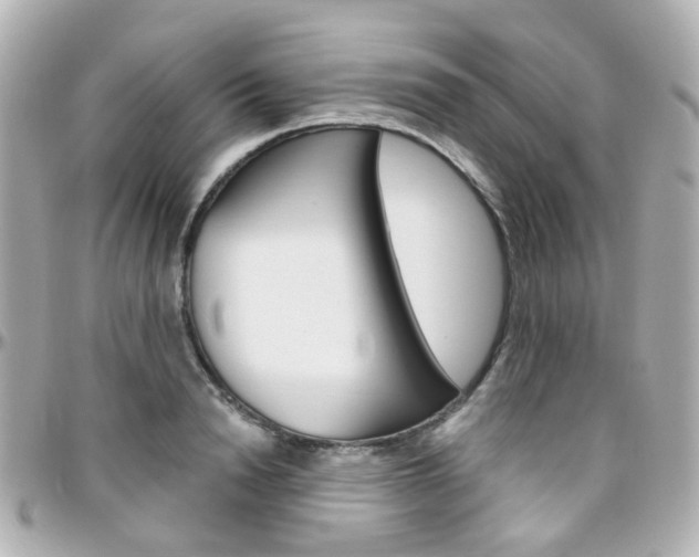 X0000096410846200801241023