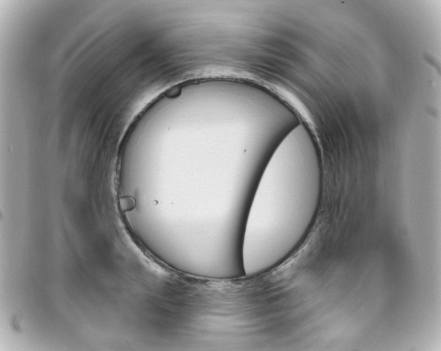 X0000096410847200801241023