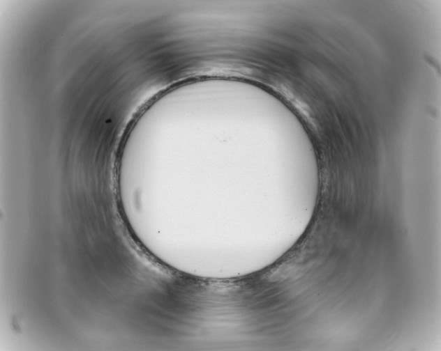 X0000096410848200801241023