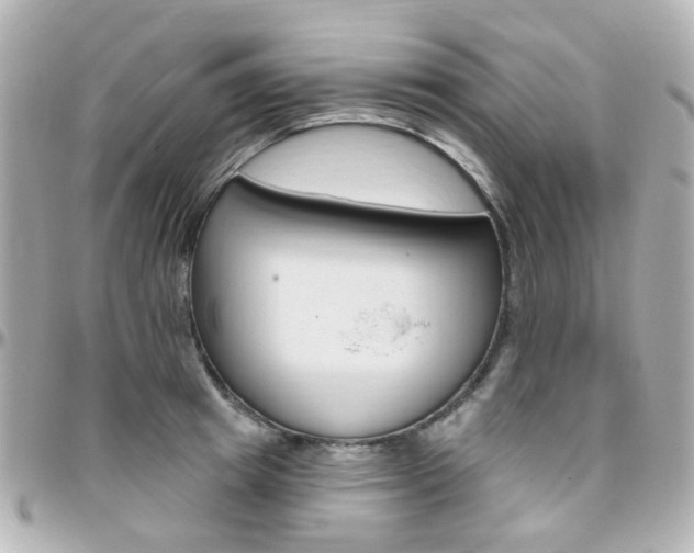 X0000096410849200801241023