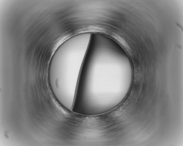 X0000096410850200801241023