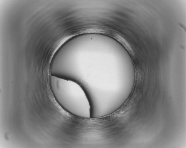 X0000096410852200801241024
