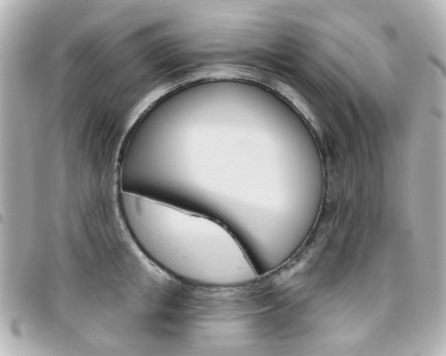 X0000096410853200801241024