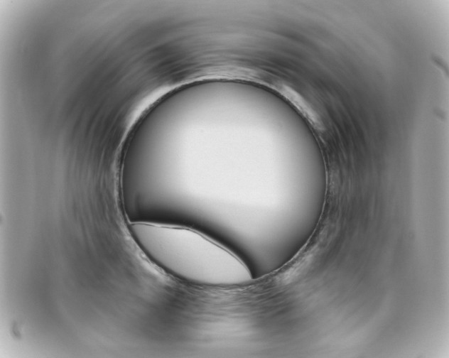 X0000096410854200801241024