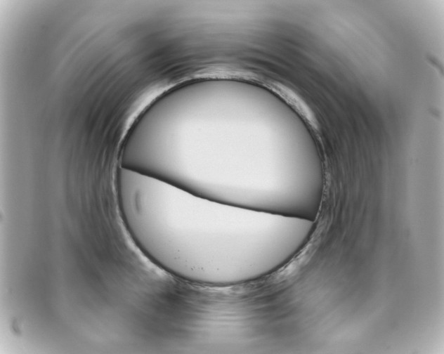 X0000096410855200801241024