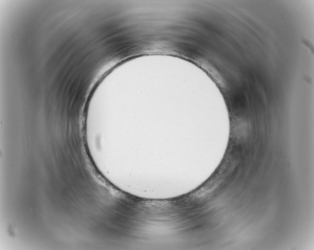X0000096410856200801241024