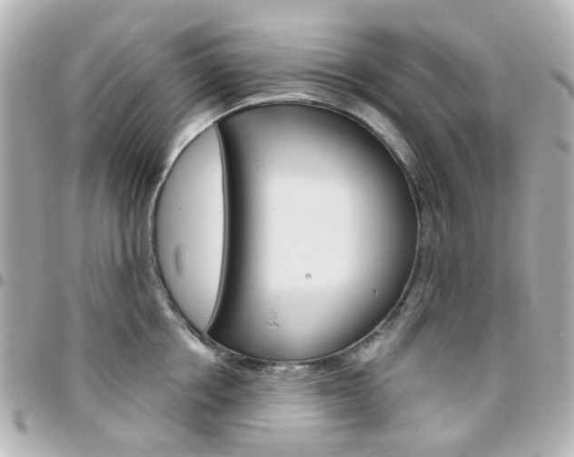 X0000096410858200801241024