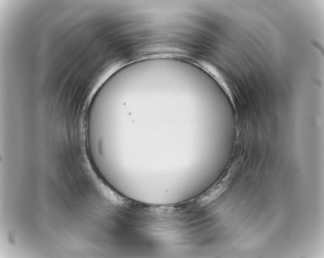 X0000096410859200801241024