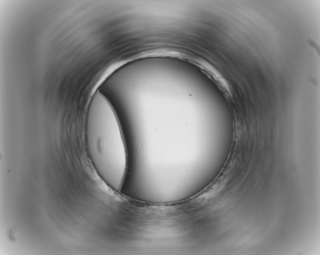 X0000096410860200801241024