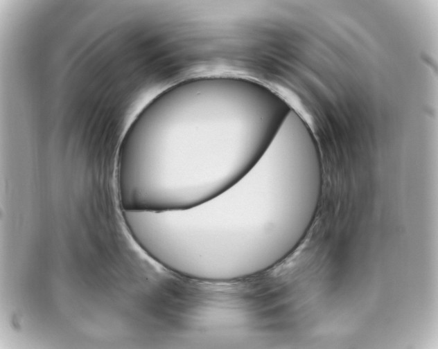 X0000096410863200801241024