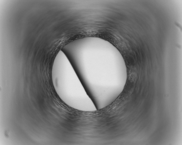 X0000096410866200801241023