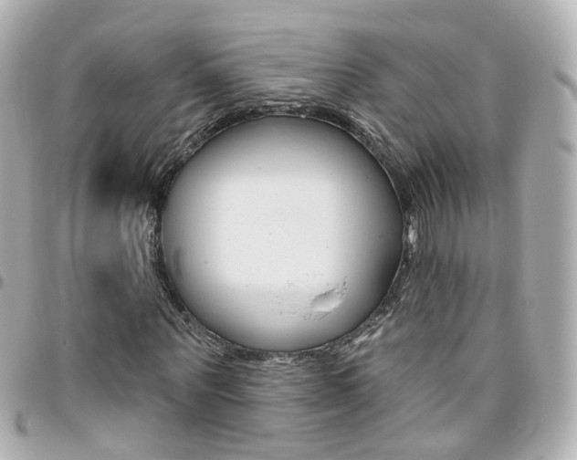 X0000096410867200801241023