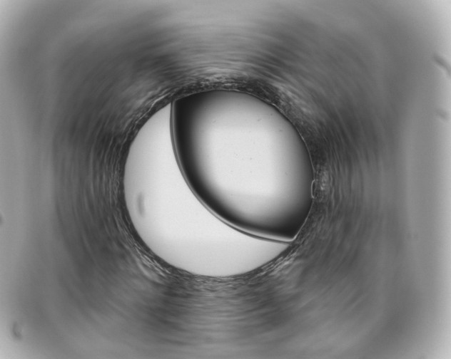 X0000096410868200801241023