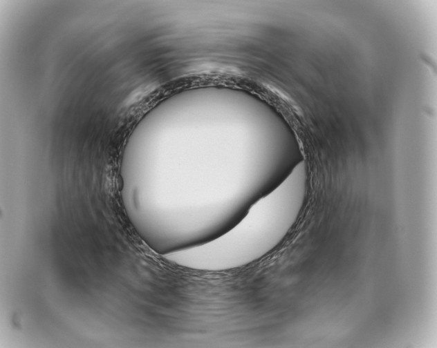 X0000096410869200801241023