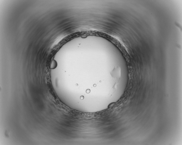 X0000096410871200801241023
