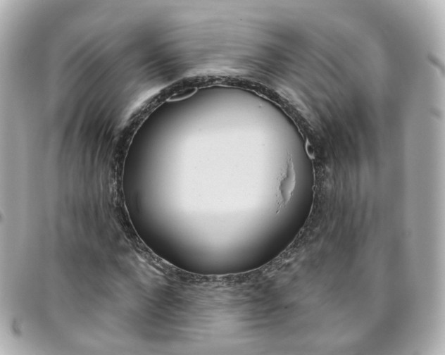 X0000096410872200801241023