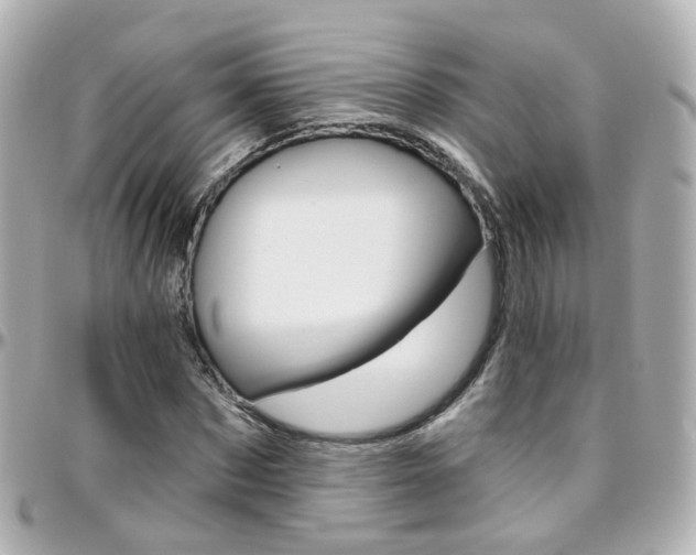 X0000096410873200801241023