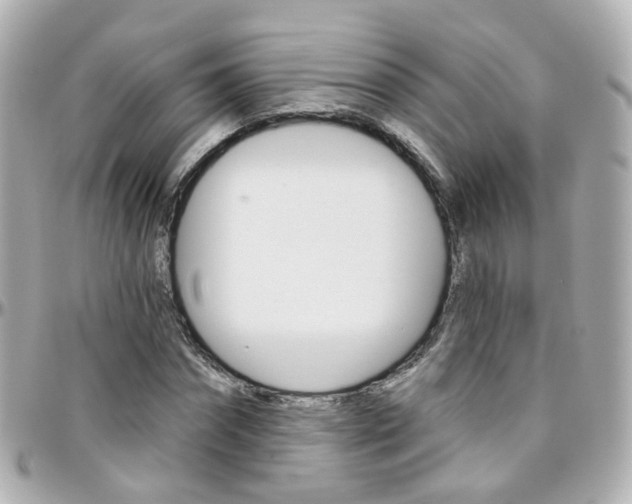 X0000096410874200801241023