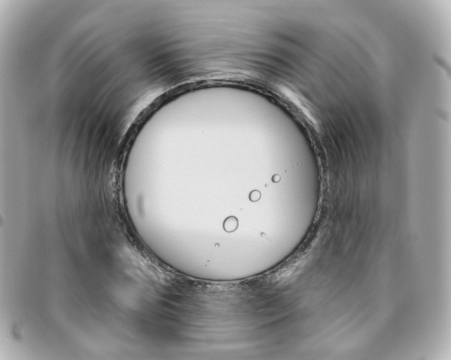 X0000096410875200801241023