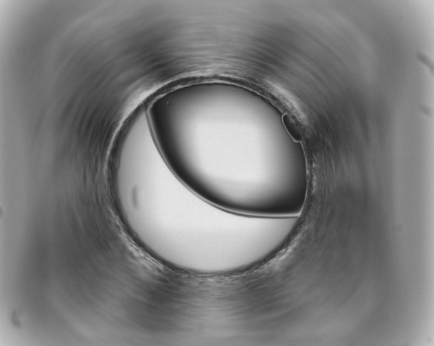 X0000096410876200801241023