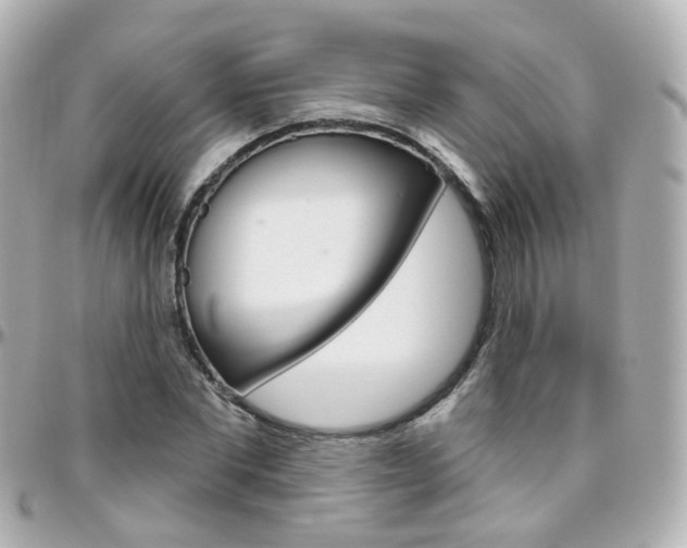 X0000096410877200801241023