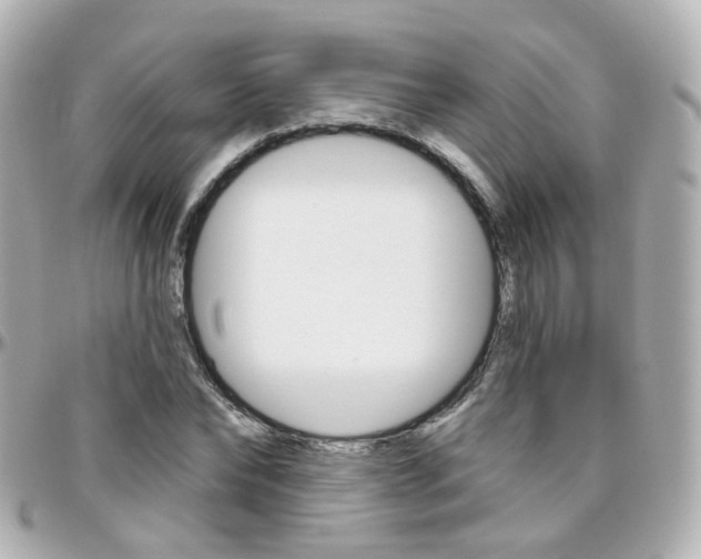 X0000096410878200801241023