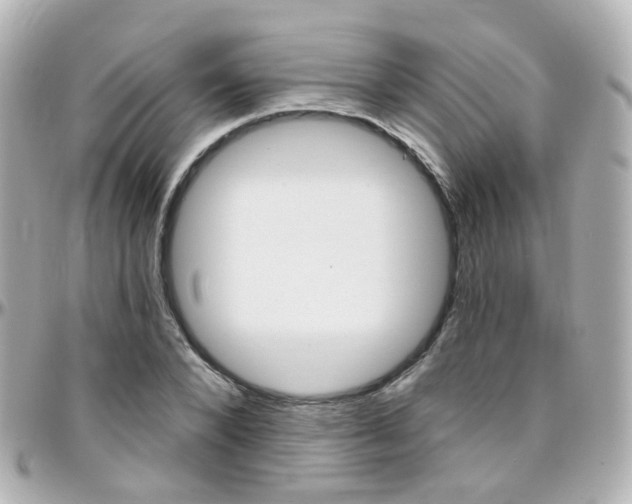 X0000096410880200801241023