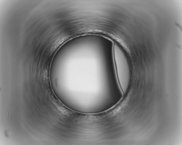 X0000096410881200801241023