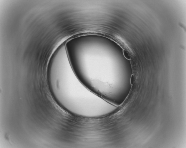 X0000096410884200801241023