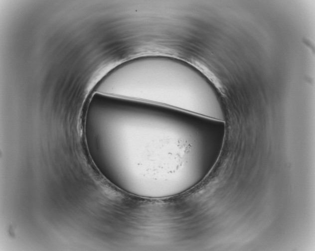 X0000096410885200801241023
