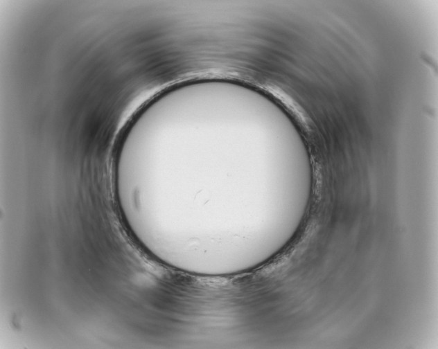 X0000096410886200801241023