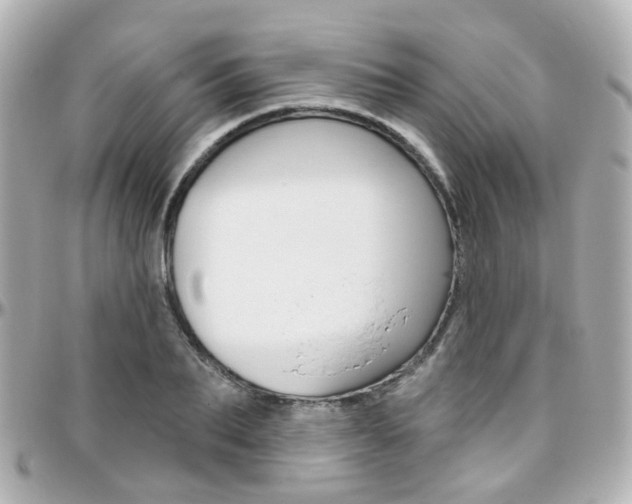 X0000096410887200801241023