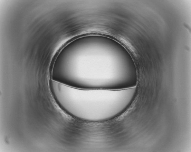 X0000096410888200801241023