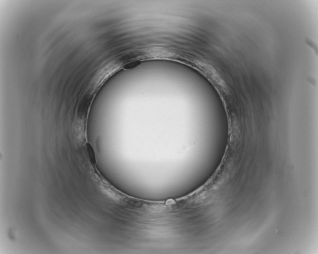 X0000096410889200801241023