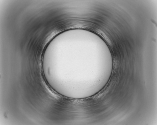 X0000096410890200801241023
