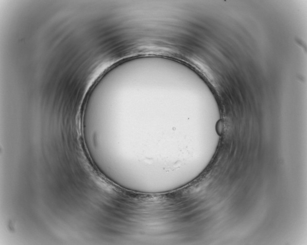 X0000096410891200801241023